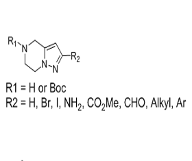 R1 = H or Boc ; R2 = H, Br, I, NH2, CO2Me, CHO, Alkyl, Ar R1 = H or Boc ; R2 = H, Br, I, NH2, CO2Me, CHO, Alkyl, Ar